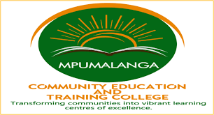 Partner Logo 1